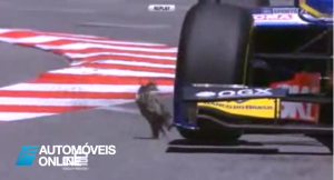 Há pássaros com sorte! Veja o vídeo do que aconteceu no Grande Prémio do Mónaco