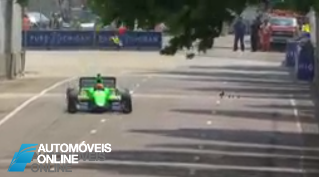 Vídeo! Corrida de Fórmula Indy interrompida por familia de Patos