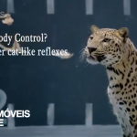 Guerra Jaguar vs Mercedes! Campanha de publicidade, vídeo - Jaguar come galinha da Mercedes