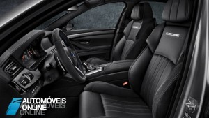 Bmw M5 30 Anos interior pilot door view