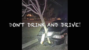 Apanhada a conduzir com árvore espetada no capot