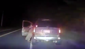 Veado ataca condutora