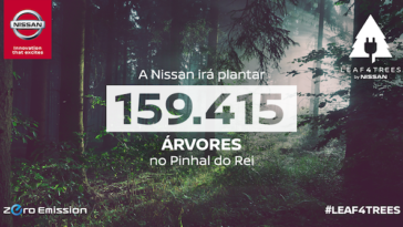Nissan ajuda a plantar 159 415 pinheiros no Pinhal do Rei