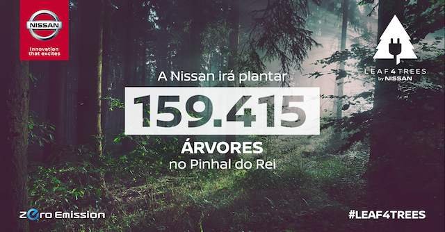 Nissan ajuda a plantar 159 415 pinheiros no Pinhal do Rei
